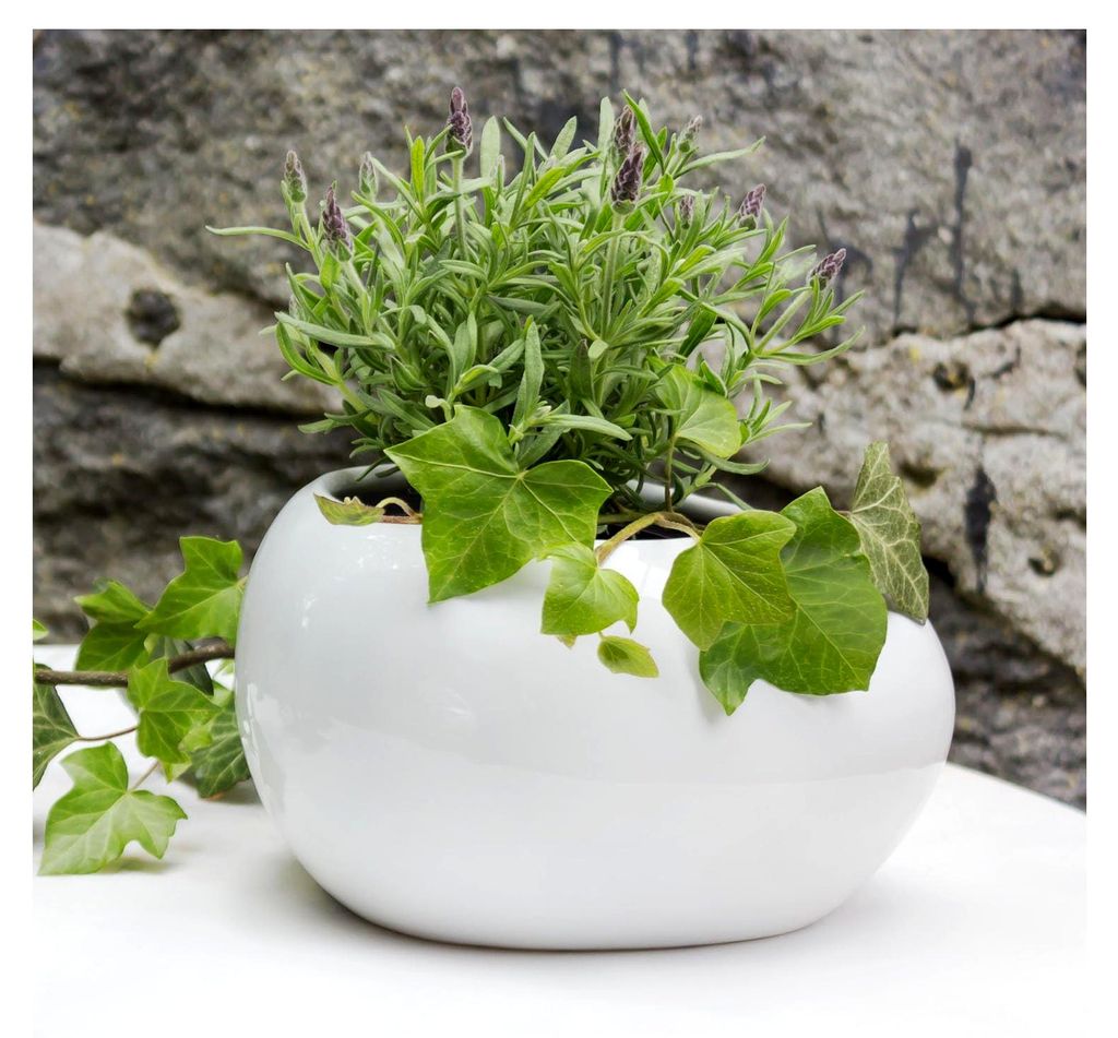 DomoDomo Keramischer Bonsai Blumentopf 13 cm, Weiß, Hochwertige Keramik, Glänzende Oberfläche, Klassisches Design