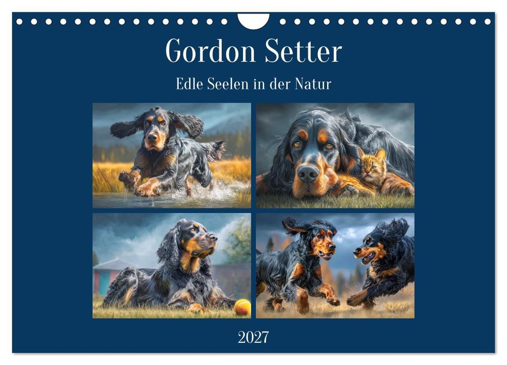 Gordon Setter. Edle Seelen in der Natur (Wandkalender 2027 DIN A4 quer), CALVENDO Monatskalender