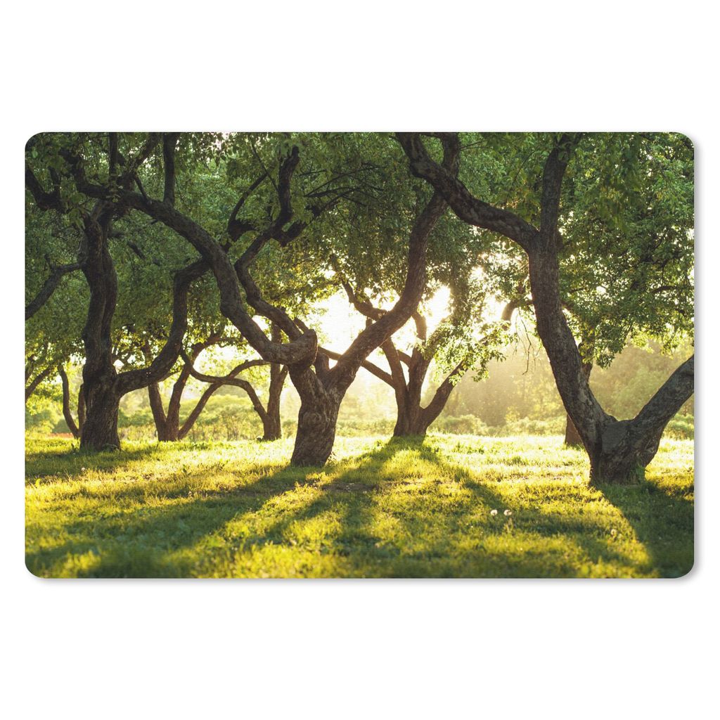 MuchoWow Mauspad Mousepad Bäume - Natur - Sonne 27x18 cm - Mousepads - Maus Mat - Pad - Mausunterlage - Büroartikel - Desk Matten