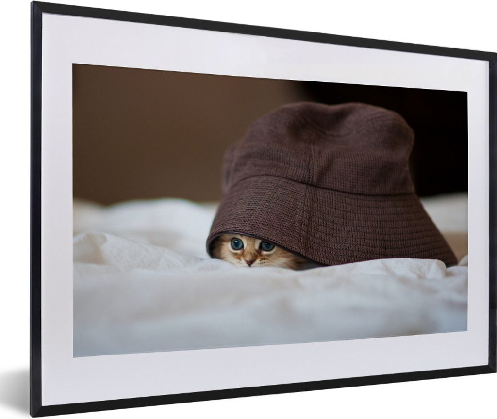 MuchoWow Gerahmtes Poster Ein persisches Kätzchen unter einem Hut versteckt 60x40 cm - Poster mit Schwarzem Bilderrahmen Wandposter Rahmen Foto ...