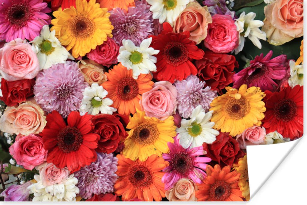 MuchoWow Poster Blumen - Farben - Gerbera - Rosen 60x40 cm - Schlafzimmerdekoration
