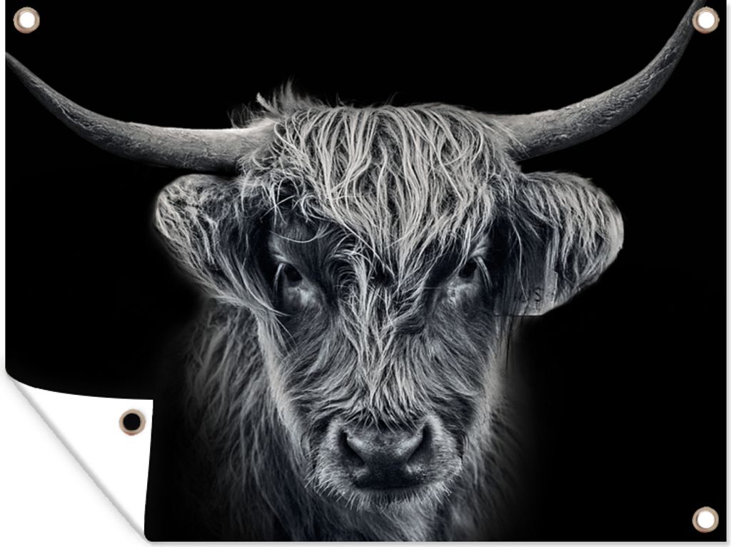 MuchoWow 120x90 cm Outdoor-Poster Gartendeko Sichtschutz Garten Poster für den Garten Schottischer Highlander - Schwarz - Kuh - Tiere
