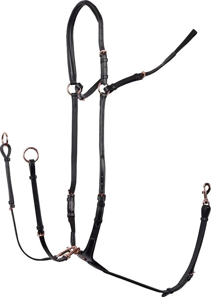 Collier de chasse Harry's Horse Rosegold noir complet finition luxe