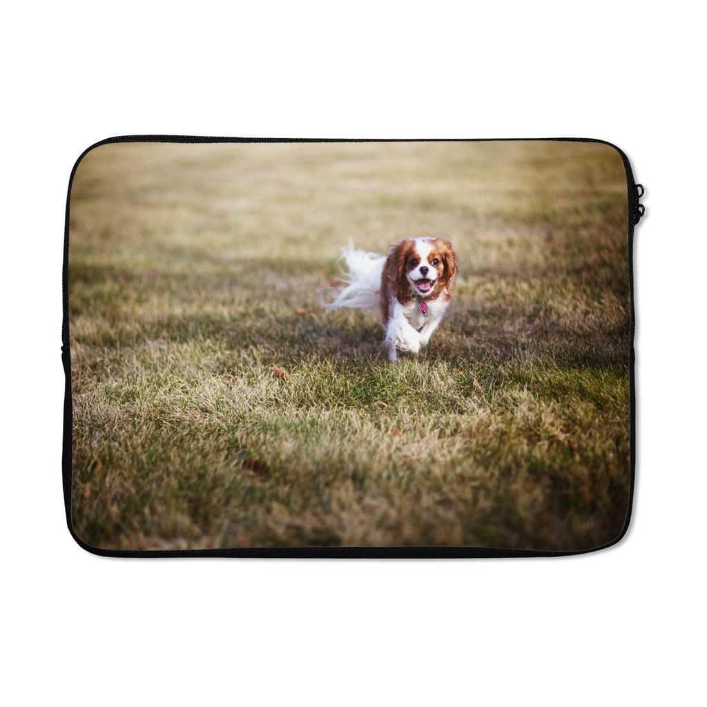 MuchoWow Laptop Hülle 13 Zoll Ein weiblicher Cavalier King Charles Spaniel im Gras Laptoptasche - Laptophülle - Sleeve - Rundumschutz