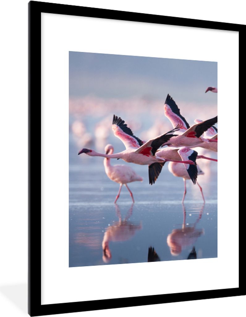MuchoWow Gerahmtes Poster Flamingo - Vogel - Wasser - Rosa 60x80 cm - Poster mit Schwarzem Bilderrahmen Wandposter Rahmen Foto Bilder - Wohnzimme...