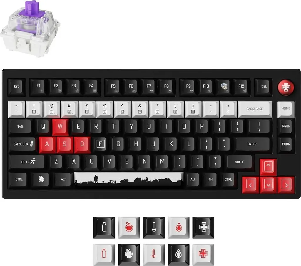 Clavier Keychron Magnétique DayZ Switches Gateron Nebula Double-Rail