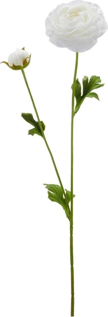 Kunstpflanze Ranunkel - H 63 cm - Grün - Weiß - Kunststoff - mit Blüten