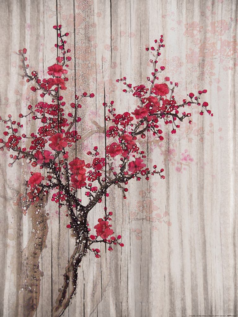 Frühling Kunstdruck Bild - Rote Quittenblüten (80 x 60 cm) Produktbild 
