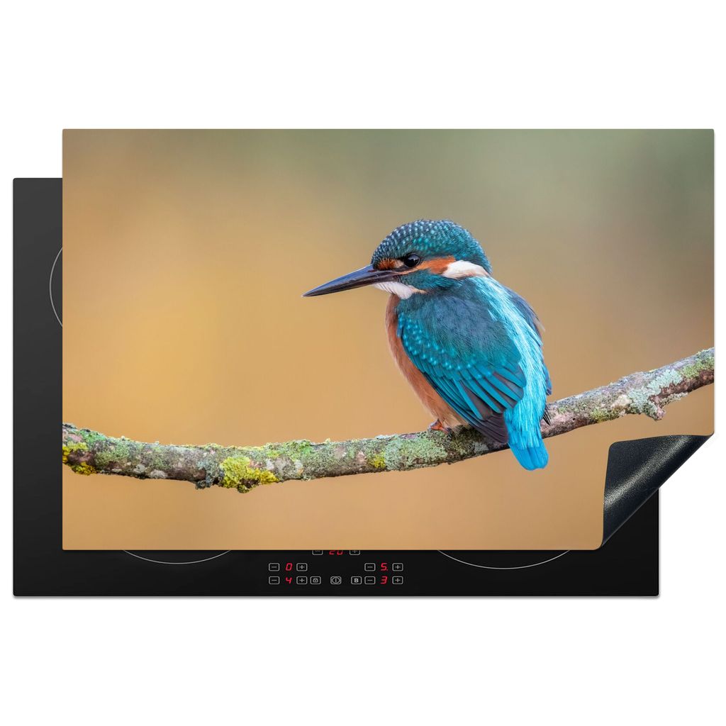 KitchenYeah Herdabdeckplatte Vogel - Eisvogel - Tiere - Zweig , 80x52cm, Küche Deko, Glaskeramikkochfeld Herdabdeckung, Abdeckplatte fùr Kochfeld