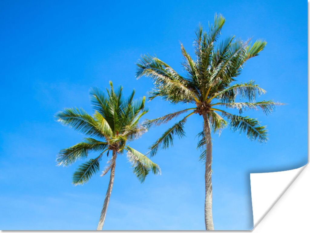 MuchoWow Poster Palme - Sommer - Tropisch 40x30 cm - Plakate für die Wände - Poster Wohnzimmer