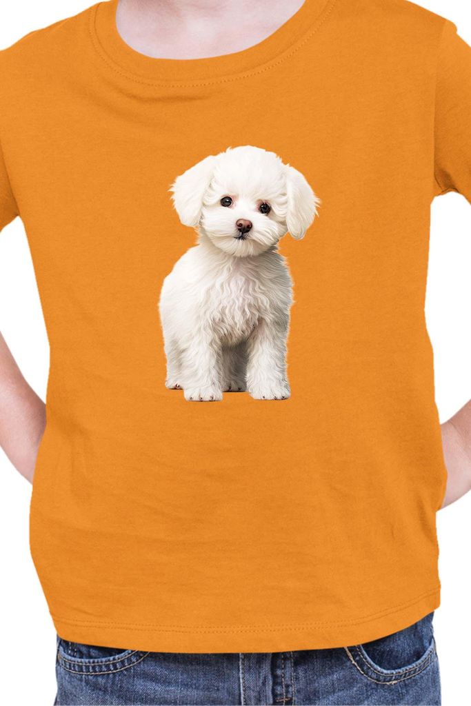 Kinder T-Shirt Dogs Breeds Bichon Frise Dog Breed 006, 12-13 Jahr - 152 / Orange