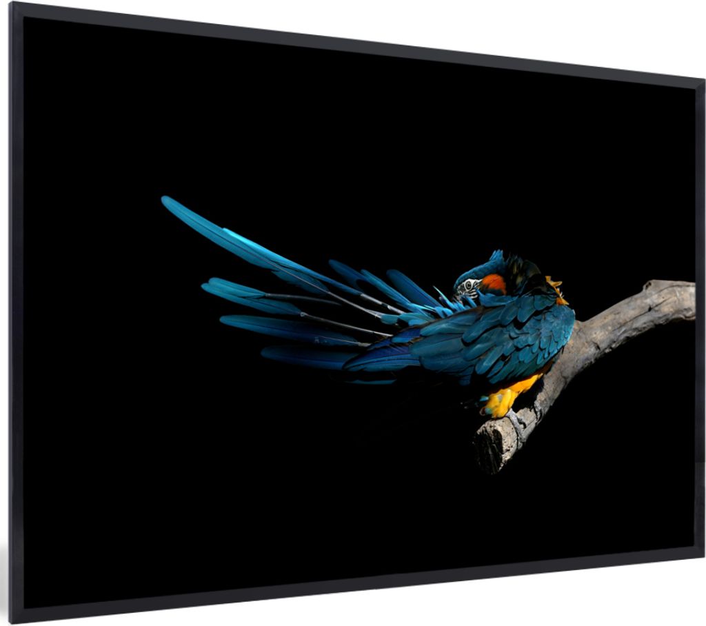 MuchoWow MuchoWow Gerahmtes Poster Vogel - Federn - Zweig - Schwarz 90x60 cm - Poster mit zchwarzem Bilderrahmen - Fotorahmen - Foto-Plakat