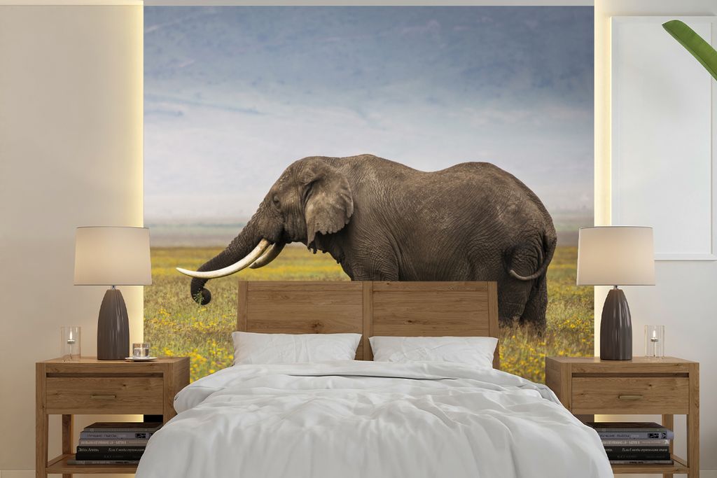 MuchoWow Fototapete für Wohnzimmer oder Schlafzimmer Wandtapete Vinyl Motivtapete Weidender Elefant in der Wildnis Afrikas - 350x350 cm - Schlaf...