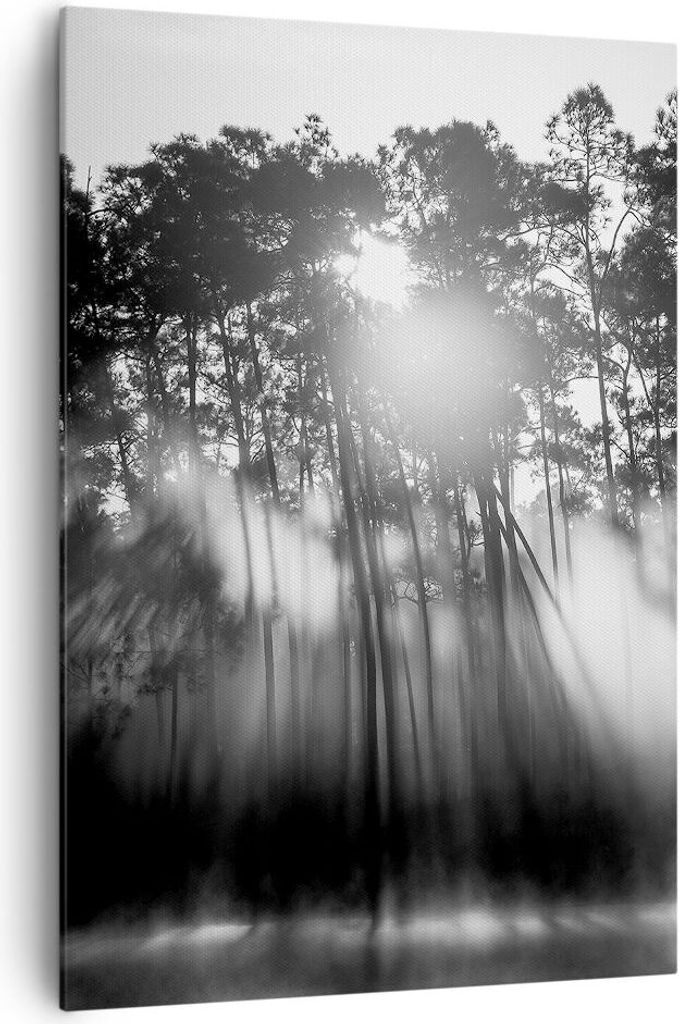 Bild auf Leinwand - Leinwandbild - Einteilig - Wald Kiefer Sonne - 70x100cm - Wand Bild - Wanddeko - Wandbilder - Leinwanddruck - Wanddekoration - ...