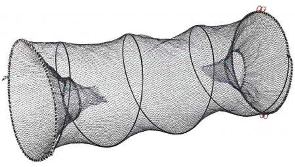 Aalworm Productafbeelding 