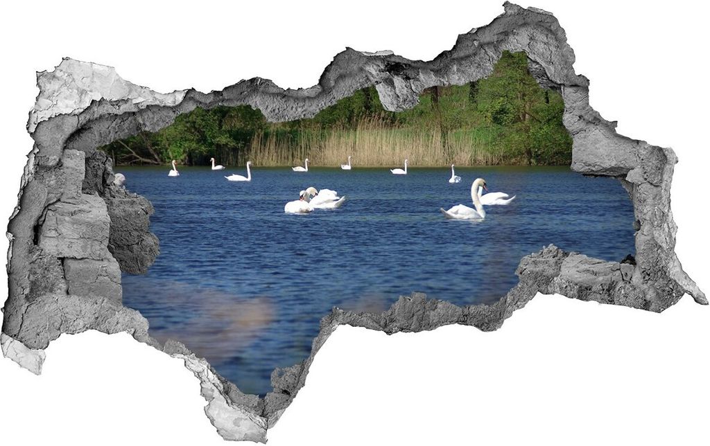 Selbstklebender Loch-3D-Aufkleber 95x73 cm weißer Schwan