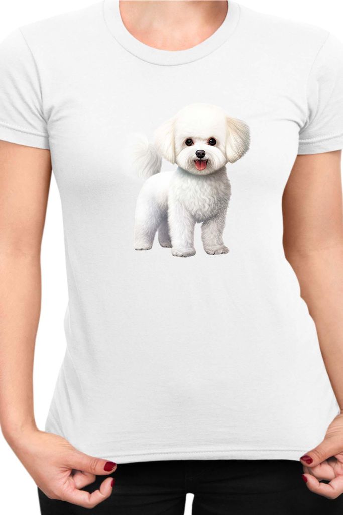 Damen T-Shirt Dogs Breeds Bichon Frise Dog Breed 005, Lady S / Weiß