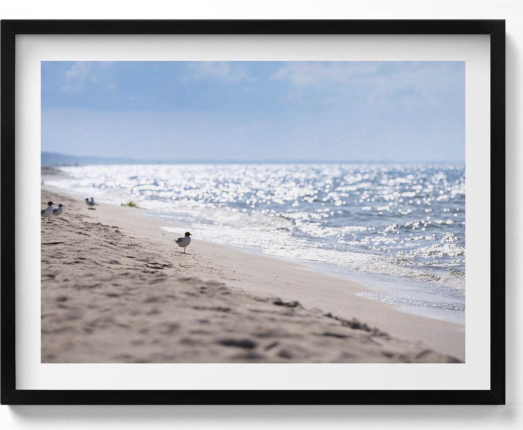 Meereswellen und ein Vogel am Strand– Wandbild mit Rahmen – Gerahmtes Bild – Wanddekoration – 80x60 cm – Schwarz Rahmen
