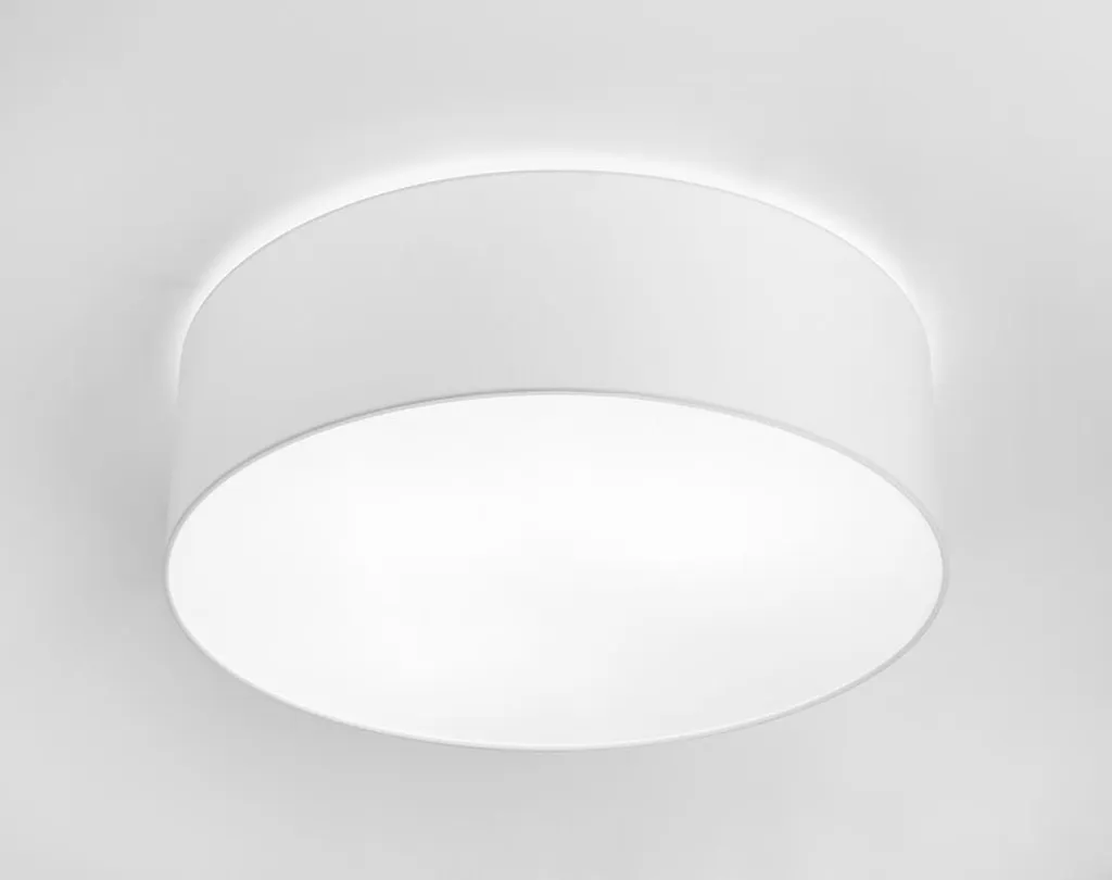 Plafonnier plat CAMERON II 9605 - Solution d'éclairage pour plafond bas