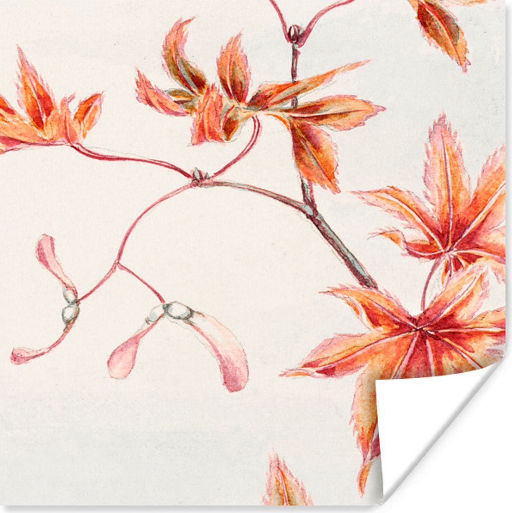 MuchoWow Poster Japan - Ahorn - Herbst - Vintage 100x100 cm - Babyzimmer