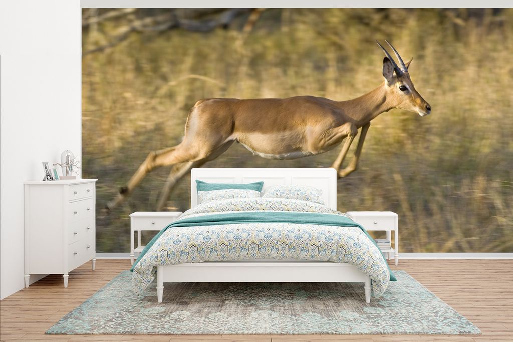 MuchoWow Fototapete für Wohnzimmer oder Schlafzimmer Wandtapete Vinyl Motivtapete Gazelle - Tiere - Frühling - 465x260 cm - Hintergrundbild