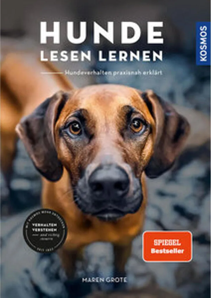 Guide pratique Apprendre à lire aux chiens, manuel d'activités canines