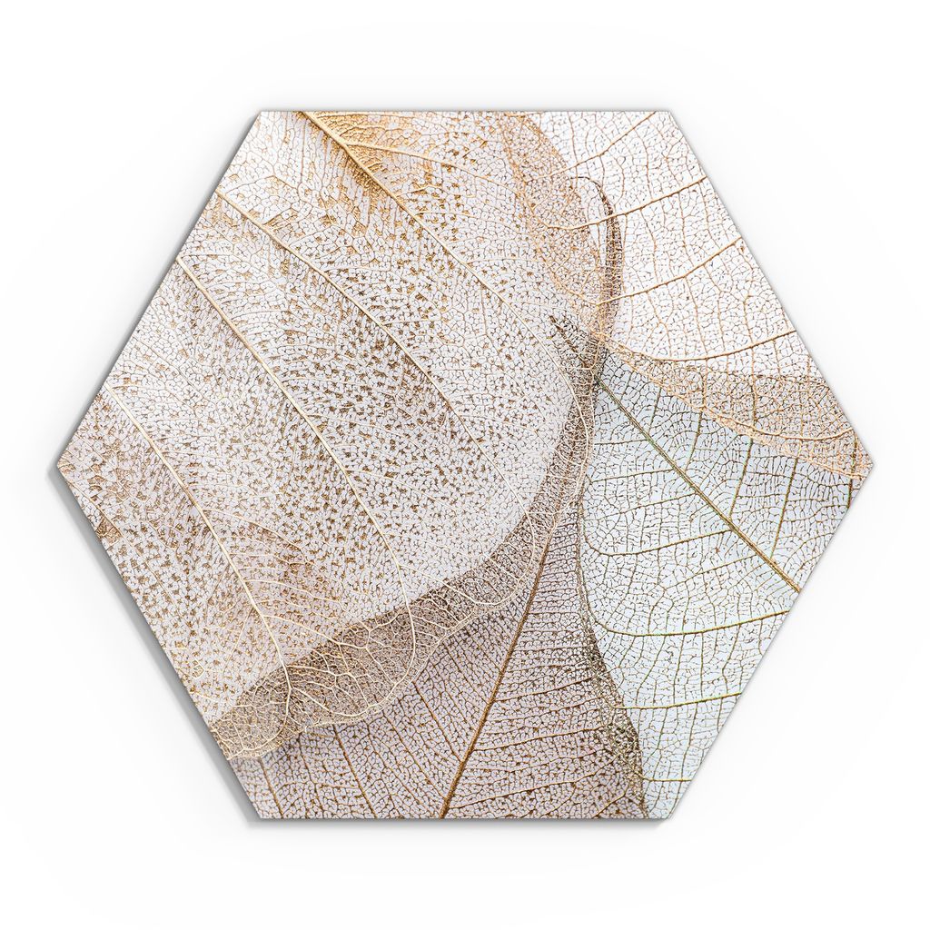 DEQORI Glasbild Echtglas 55x48 cm 'Zarte Blattstrukturen' Wandbild Bild modern Deko