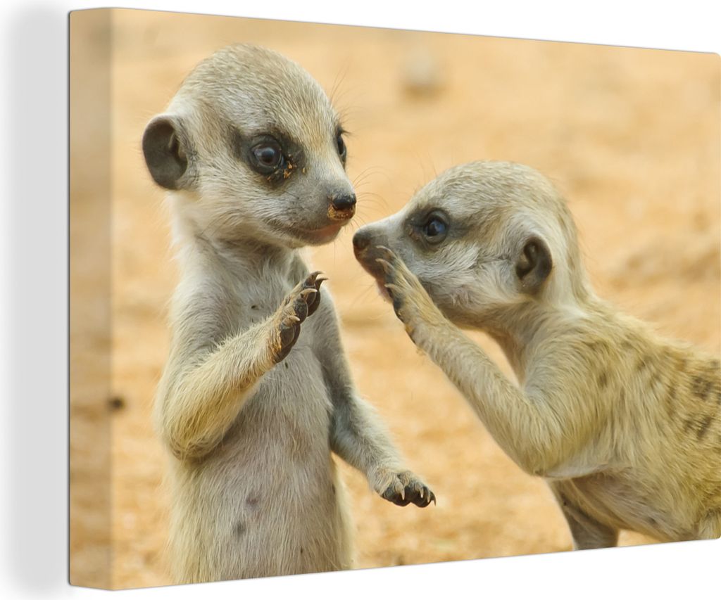 OneMillionCanvasses - Leinwandbilder - 140x90 cm, Erdmännchen - Braun - Tier, Wandbilder Kunstdruck Wanddekoration