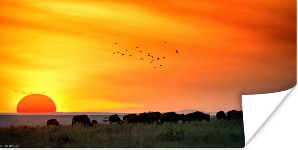 MuchoWow Poster Sonnenuntergang mit sehr schönem Himmel im Serengeti-Nationalpark 150x75 cm - ohne Rahmen