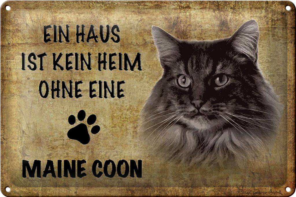 Blechschild Spruch 40x30cm Maine Coon Katze ohne kein Heim