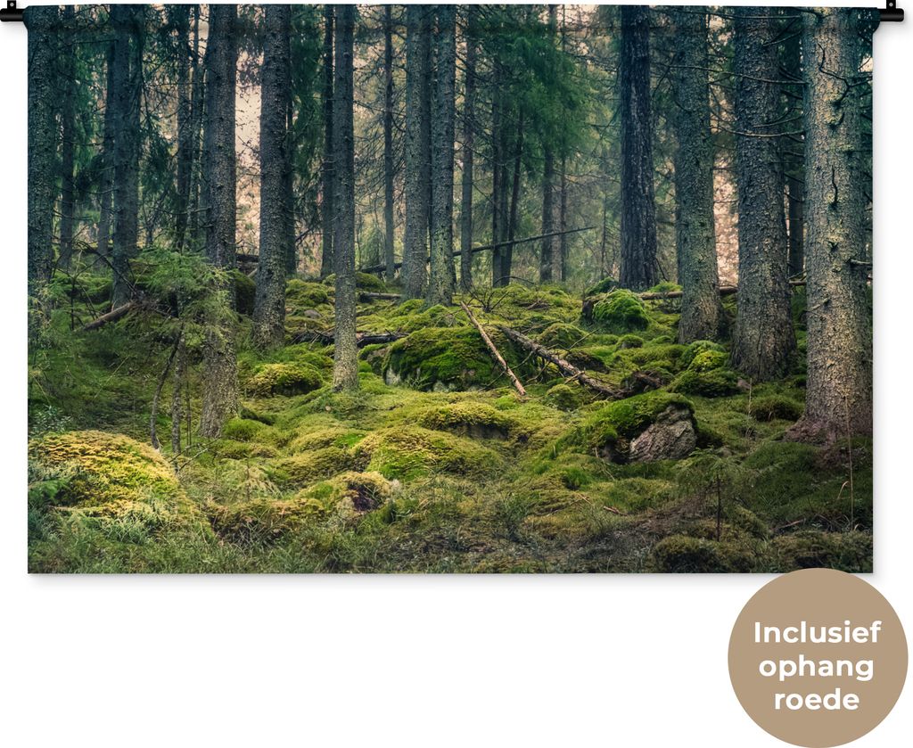 MuchoWow® Wandteppich Wandbehang Wald - Baum - Moos 150x100 Produktbild 