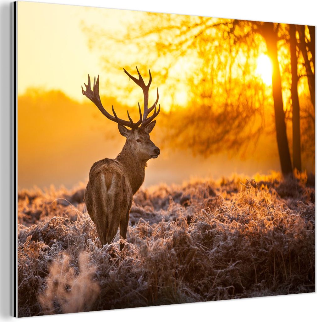 MuchoWow Wanddekoration Metall Metallbild Wandkunst 80x60 cm Hirsche - Tiere - Sonnenuntergang - Winter - Heidekraut - Natur MuchoWow Aluminium Gem...
