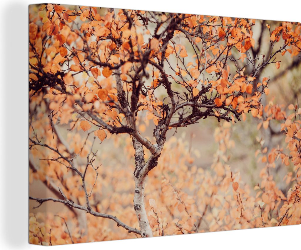 OneMillionCanvasses - Leinwandbilder - 150x100 cm, Herbst - Äste - Blätter, Wandbilder Kunstdruck Wanddekoration