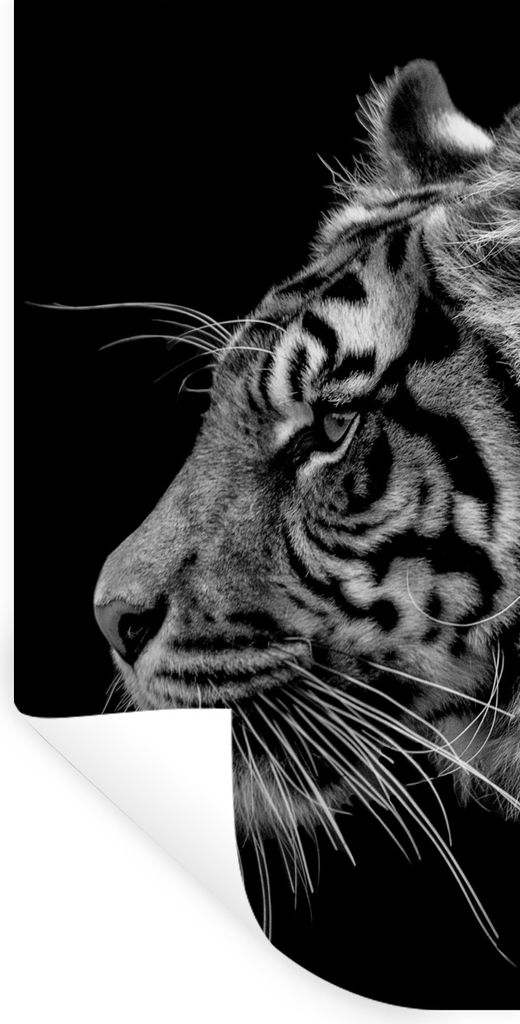 MuchoWow Wandtattoo Wandsticker Wandaufkleber Tiger auf schwarzem Hintergrund in schwarz und weiß 60x120 cm Selbstklebend und Repositionierbar -...