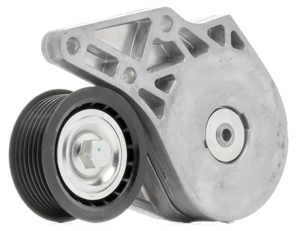 Supprimer les Bruits de Courroie VW avec le Galet Tendeur 68,8 mm RIDEX