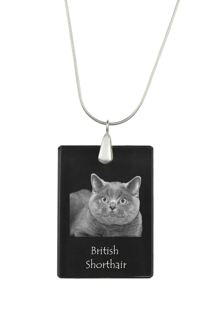 Collier Personnalisé avec Photo de Chat - Pendentif Cristal et Argent