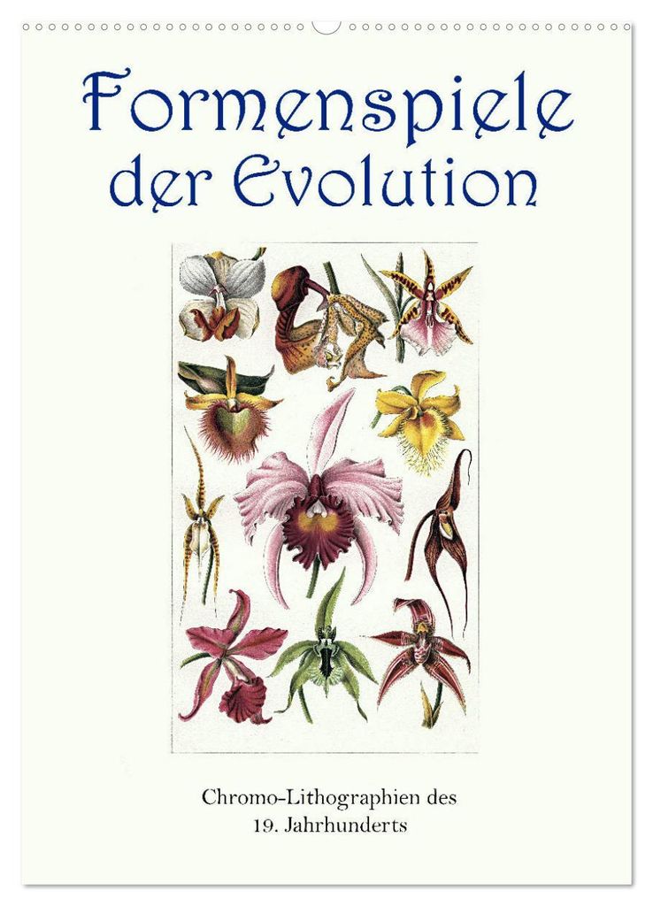 Formenspiele der Evolution. Chromolithographien des 19. Jahrhunderts (Wandkalender 2027 DIN A2 hoch), CALVENDO Monatskalender