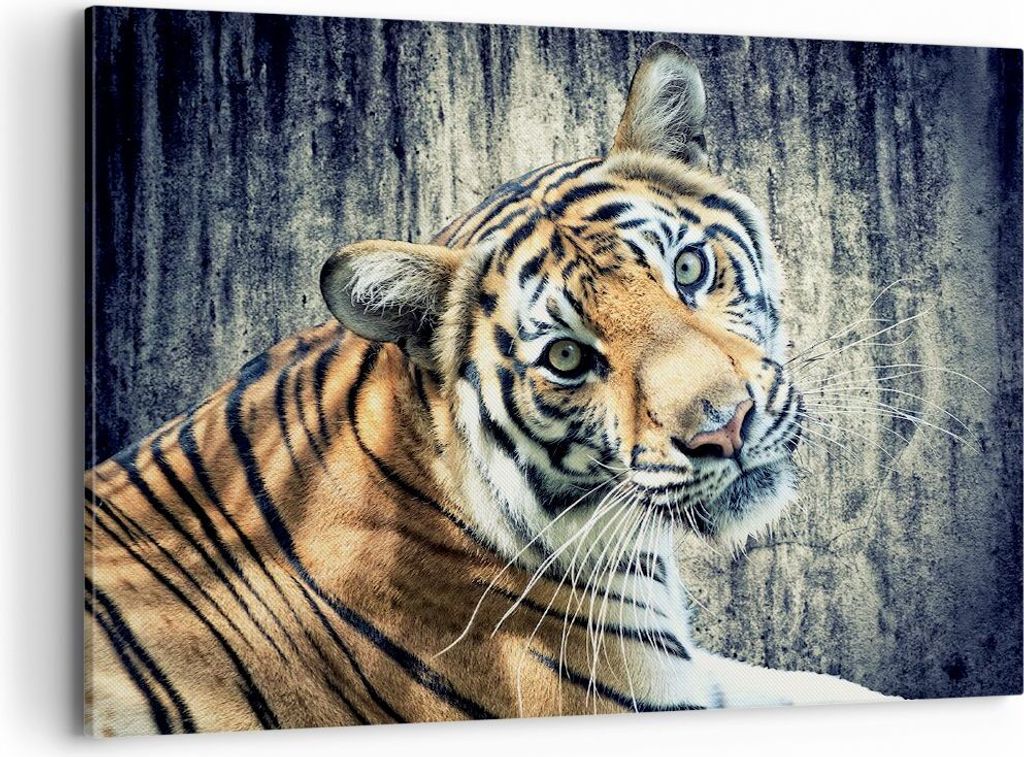Bild auf Leinwand - Leinwandbild - Indien stein tiger wild - 100x70cm - Wand Bild - Wanddeko - Leinwanddruck - Bilder - Kunstdruck - Wanddekoration...