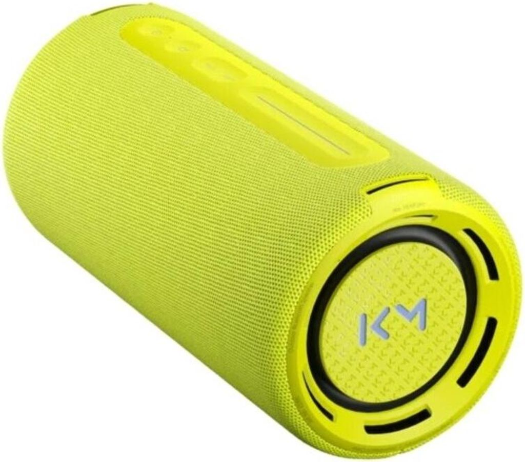 Głośnik przenośny LOEWE WE HEAR Pro, 50 W, Bluetooth, Zdjęcie produktu 