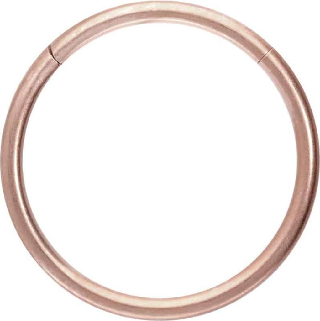 Ohrpiercing, Nasenpiercing, Septum Piercing Titan Segmentring Clicker MATT RoséGold Innendurchmesser: 14mm + Stabstärke: 1,2mm