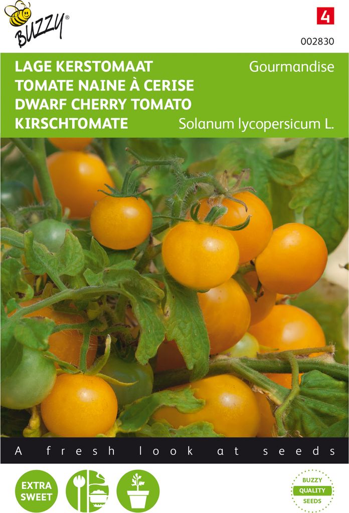 Tomate Gourmandise cherry | Tomatensamen von Buzzy Seeds