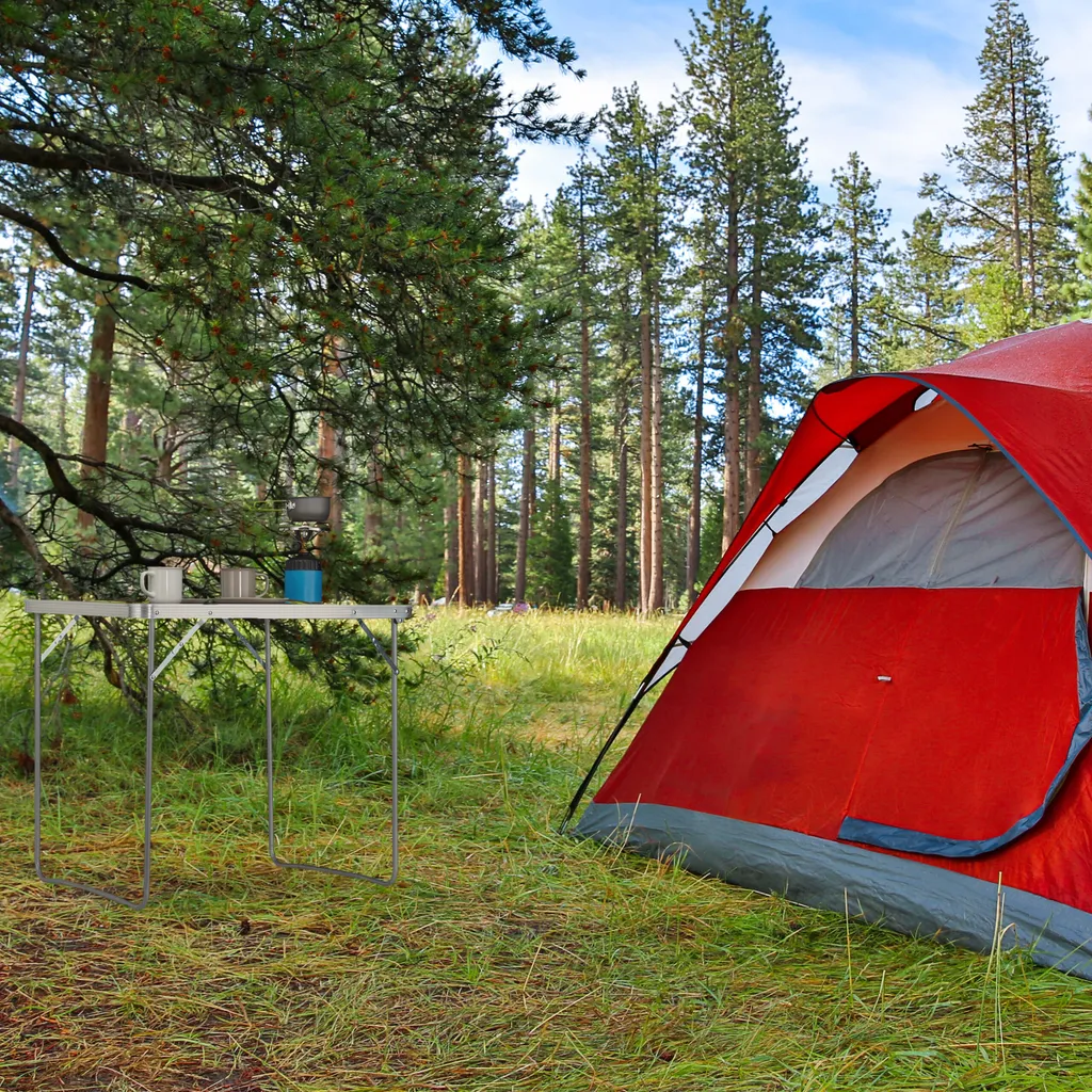 Table de camping pliable légère et compacte 70 x 80 x 60 cm