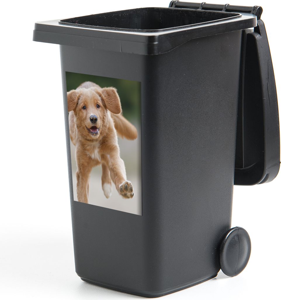 MuchoWow Mülltonnenaufkleber Ein Golden Retriever Welpe 40x60 cm - Mültonnen-sticker - Sticker - Aufkleber für die Mülltonne