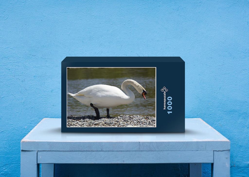 hansepuzzle 36437 - Schwan Puzzle, 1000 Teile, Tierwelt, 60,0 x 46,0cm mit hochwertiger Aufbewahrung, Kartonbox und wiederverschließbarem Beutel