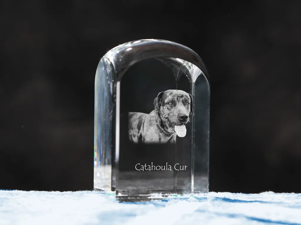 Catahoula Leopard Dog Cube en Cristal avec Photo Chien par Art-Dog