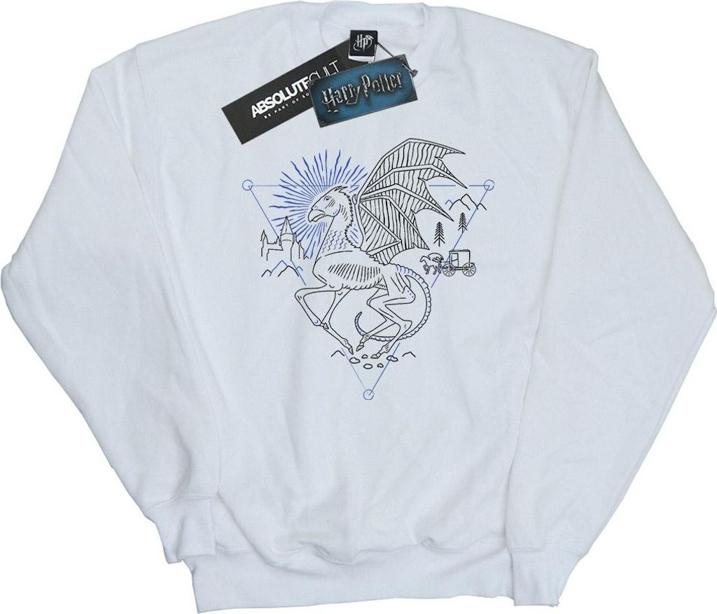 Harry Potter - Sweatshirt für Herren BI27831 (S) (Weiß)