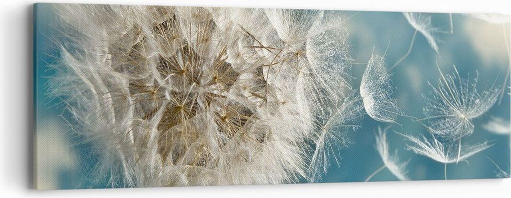 Bild auf Leinwand - Leinwandbild - Baby Sommer Pflanze - 90x30cm - Wand Bild - Wanddeko - Wandbilder - Leinwanddruck - Bilder - Kunstdruck - Wandde...