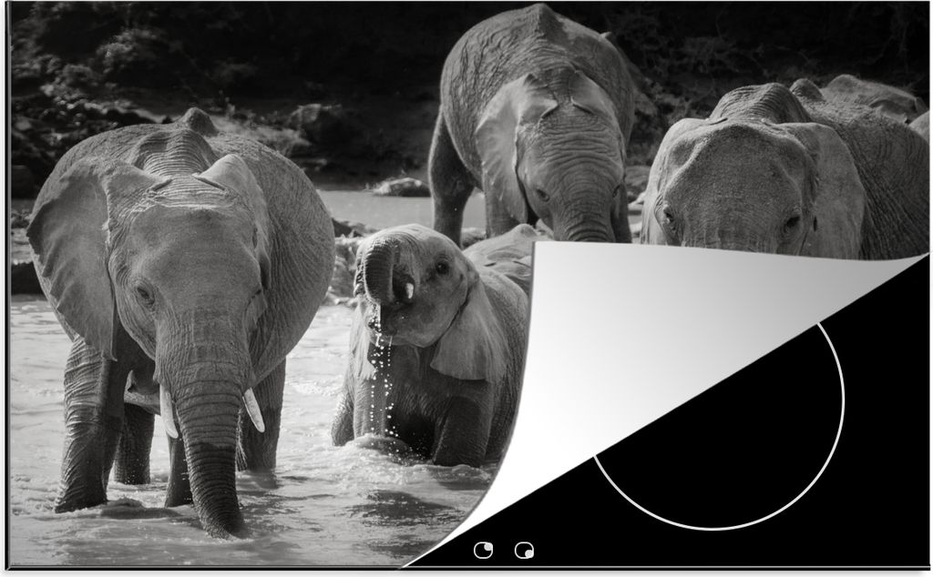 KitchenYeah Herdabdeckplatte Elefant - Tiere - Wasser - Schwarz und weiß , 81x52cm, Küche Deko, Glaskeramikfeld Herdabdeckung, Abdeckplatte fù...