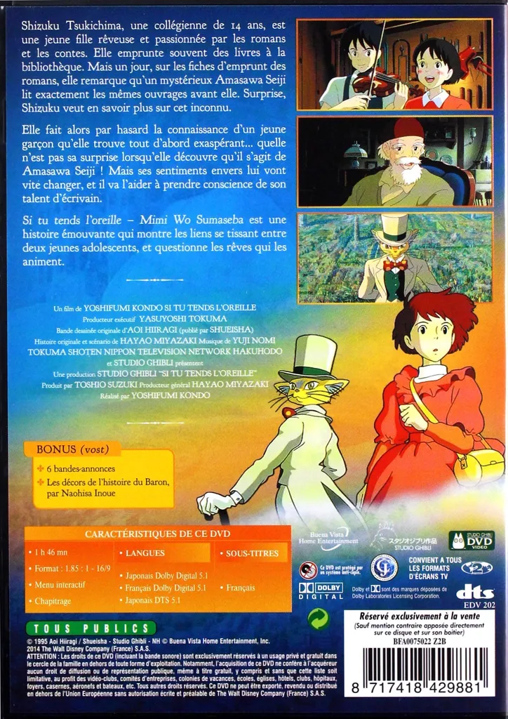 Voix du cœur version originale seulement DVD film émotionnel rare - 2