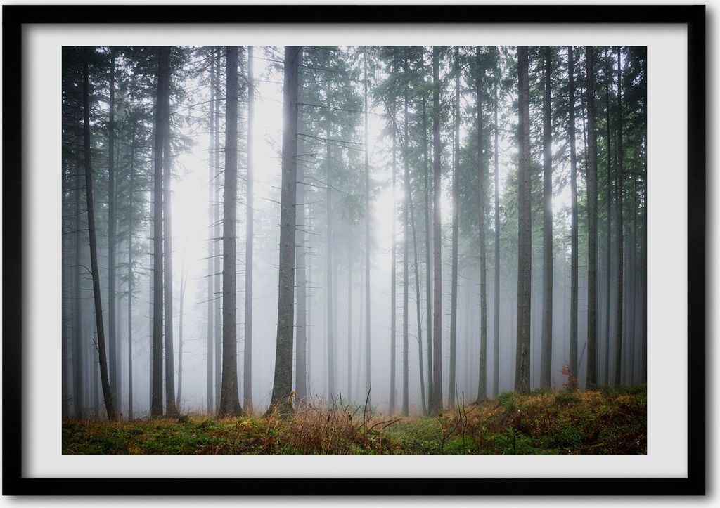 Bild - Bilder - Bilderrahmen - 70 cm x 50 cm - MDF-Rahmen, Wandkunst Nebel im Wald